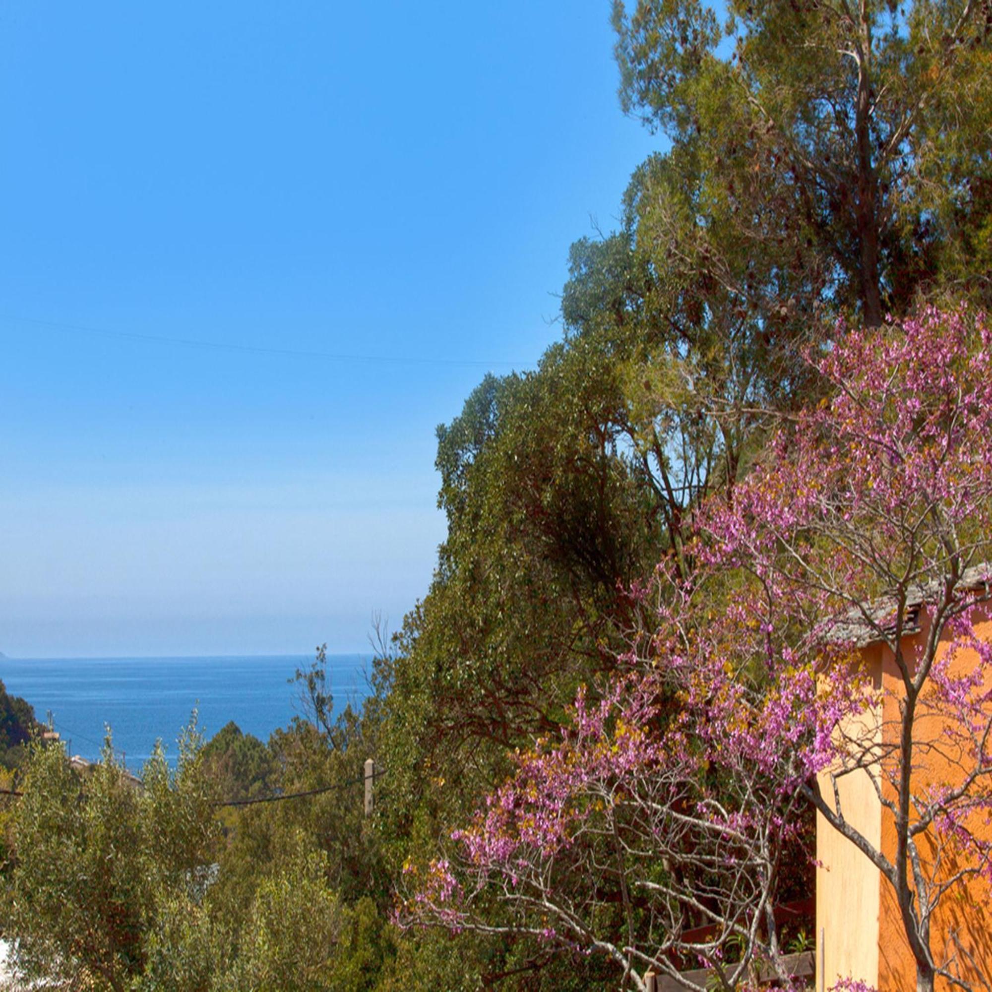Les Gites Du Cap Corse Nonza Cameră foto