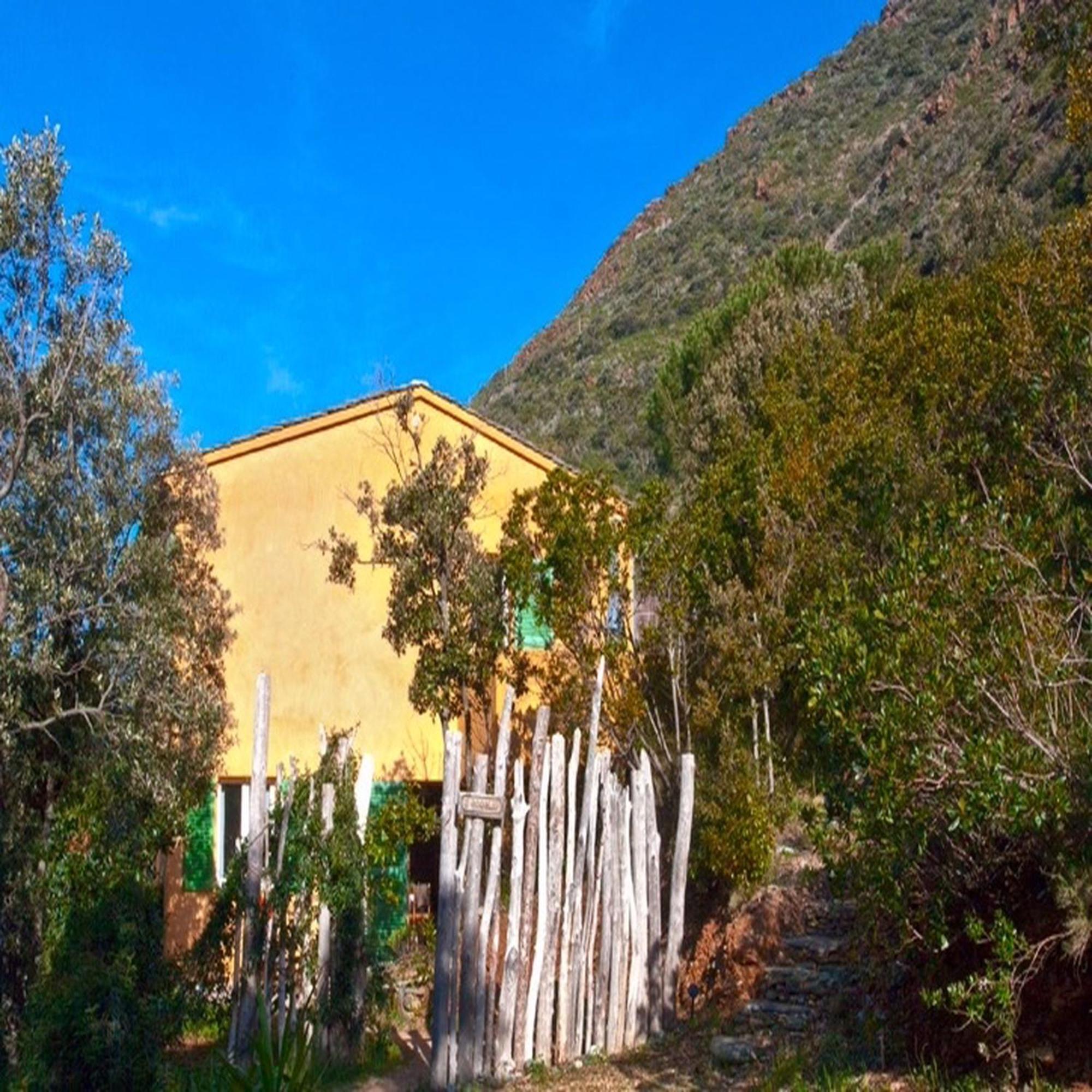 Les Gites Du Cap Corse Nonza Cameră foto